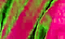 Exotic Amateur Boldly Flashing Big Tits Outdoors