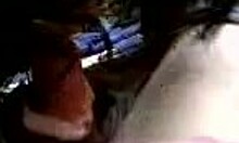 brunette milf blows outdoors naughtily