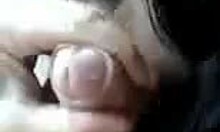 i'm a naughty brunette suckin' like a sex-crazed whore in the car.