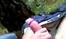 brunette milf blows outdoors naughtily