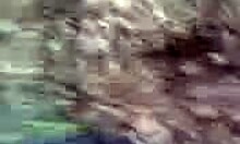 outdoor adventure with girlfriend involving handjob and blowjob