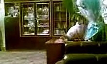 dark-haired hottie deepthroating cock on cam with handjob