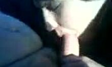 Dark-Haired Amateur Blows Small 18+ Cock in Car