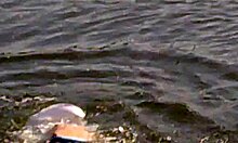 blond-haired amateur in cute bikini shows off outdoors