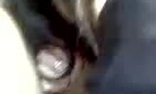 outdoor adventure with girlfriend involving handjob and blowjob