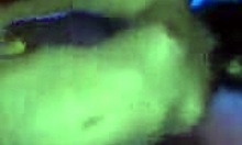 Short-Haired Brunette Strips Pale Tits On Cam