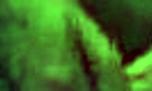 Man, this perfect blonde sucks cock before getting fingered good.