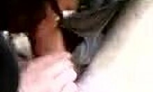 brunette milf blows outdoors naughtily