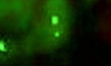 seductive exotic gf face-fucked in bathroom showers with blowjob threesome