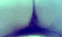 amateur wife in lingerie rides cock pov style