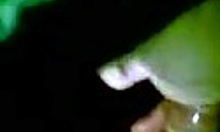 small-dicked guy scores a wet blowjob outdoors at night