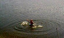 बिना सेक्स