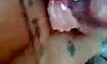 tattoo blonde amateur gives blowjob in bed 😏