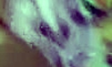 Hot Brunette Doggystyle POV Pakistani Big Pussy Brutal Fuck