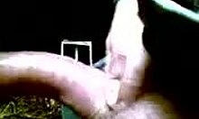 Dark-Haired Girl Enjoys Oral in Winter Coat