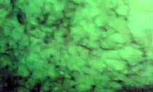 playful short-haired gf sucking cock like a good girl in toilet.