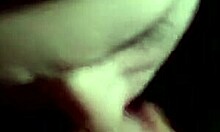 chubby faced brunette amateur sucked cock like a pro for the first time