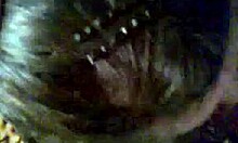 Russian Blonde Girlfriend Sucks Cock Attentively