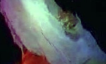 amateur chick gets sandwiched between two muscular strippers at the party