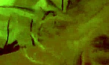 Horny Blond-Haired Hottie Destroyed By Hot Cock!