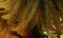 Blonde Wife Intensely Licked and Gaped During Domination