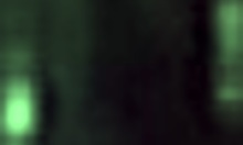 Horny teen blonde has a classic homemade sex video