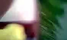 Perky Tits Blond-Haired Amateur Gf Going Down On Cam