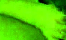 Dark-Haired Beauty Sucking and Sucking Some More!