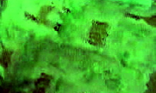 Round Booty Blonde Gets Fucked Hard From Behind