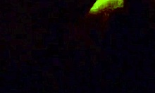 Big ass BBW drilled doggystyle!