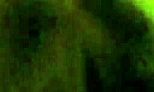 Brunette Girlfriend Performs Pov Blowjob And Doggystyle In Homemade Scene