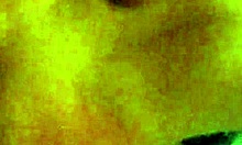 Brunette Girlfriend Performs Pov Blowjob And Doggystyle In Homemade Scene