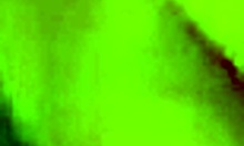 Doggy Style Drilling with a Big-Dicked Stud