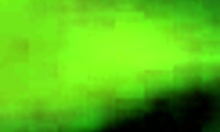 blond amateur obediently blows guy's big cock in pov