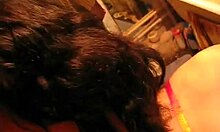 Trimmed pussy brunette bombshell in intense pov sex close-up