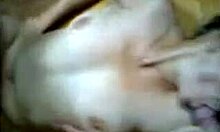 in the kitchen, the busty russian brunette gets fucked hard on the table