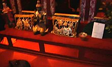 sheela, ready for your first face fucking on camera?