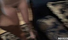 Cindy Jones and Jessie Palmer Tease in a Wild Threesome Encounter