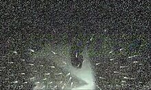 tattooed brunette girlfriend gets anally fucked