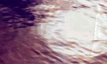 Blonde and brunette teens kiss outdoors in lesbian fun