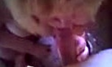 I watch mature blonde suck my cock