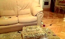 Sweet ladies show shaved cunts naughtily