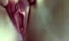 girlfriend shows wet cunt in car