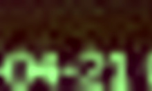 brunette girlfriend sucking and fucking