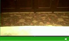 Russian sweetie, show me that ass in our private chat?