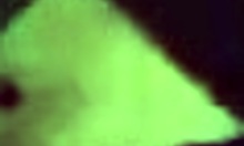 Russian Creep Jerks Off at Party