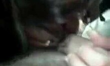 Sweetie deepthroats cock in homemade video!