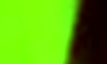 amazing amateur babe spreads and fingers her wet pussy in the bathroom.