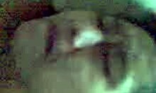 Sexy Asian Teen Moans as Boyfriend's Cock Enters Her Trimmed Pussy