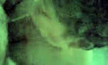 Adorable Chubby Sweetie Deepthroats Boyfriend's Penis With Bold Intensity